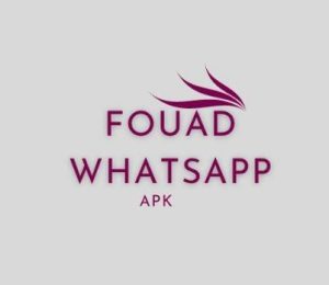 Enhancing Your Messaging with Fouad WhatsApp